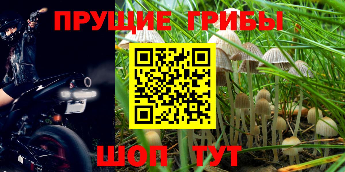 Псилоцибиновые грибы мухоморы Шадринск